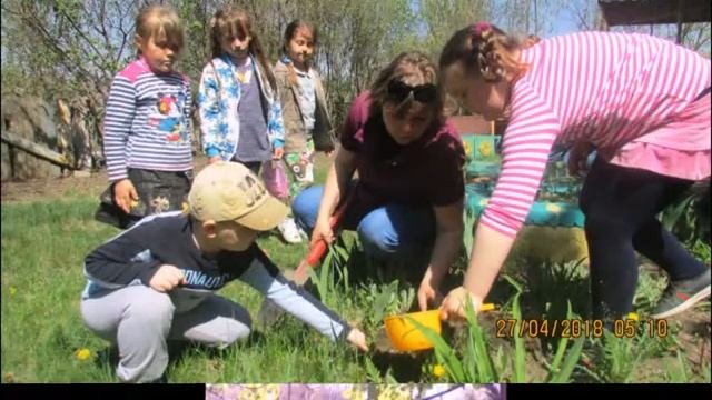Акция «Посади дерево»