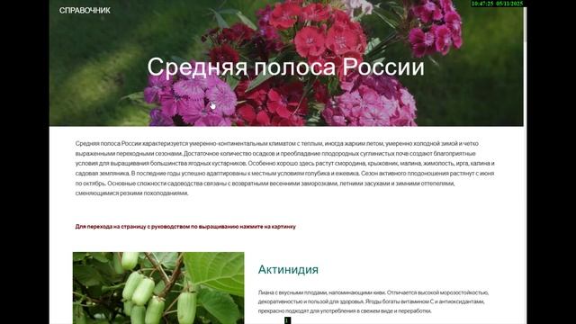 Справочник по кустарникам