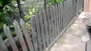 Строим новый забор вместо старого штакетника