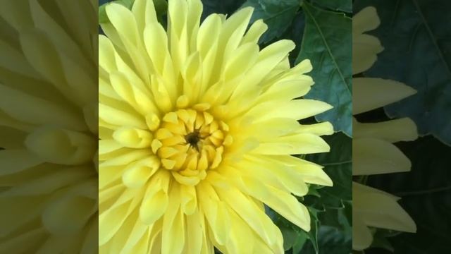 Георгина Бильбао смотреть онлайн