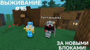 ВЫЖИВАНИЕ С ДРУГОМ #16 ЗА НОВЫМИ БЛОКАМИ!