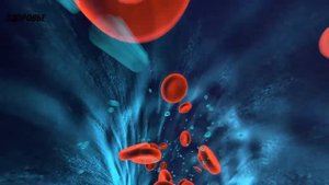 Дыхание по Неумывакину