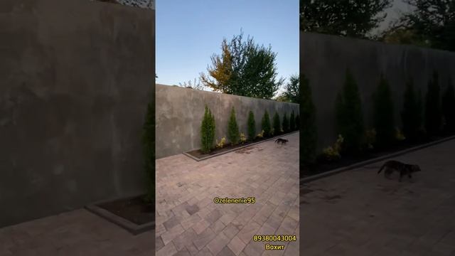 Завершили очередной Объект посадка растений и планир? смотреть онлайн