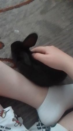 Кролик Фанни❤