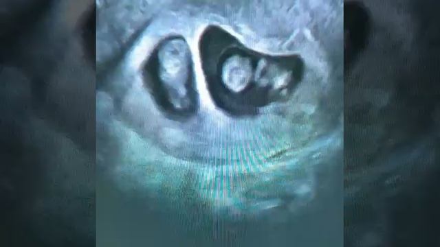 Так устроен этот мир‼️😍😍😍. Загадочно правда? смотреть онлайн