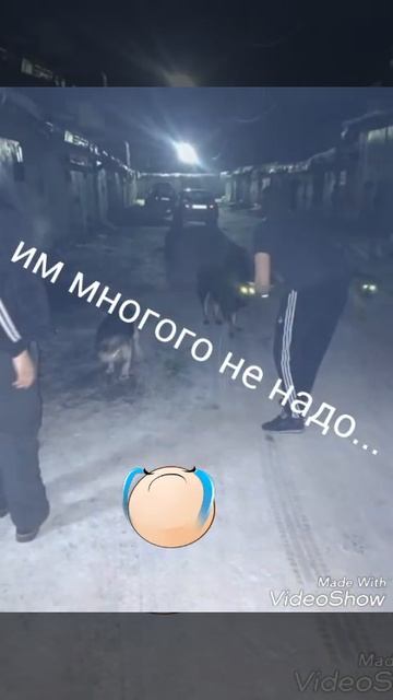 Помогите бездомным животным!!!!!!!!! смотреть онлайн