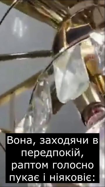 Люстра #анекдот