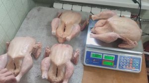 Вес бройлера Росс308 в 56 суток