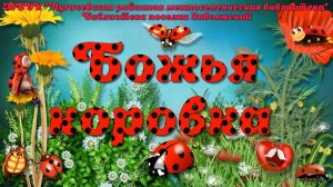 Божья коровка