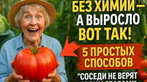 5 способов вырастить больше — без капли химии!