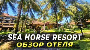 Отель Sea Horse. Секрет Идеального Отдыха в Муйне 2025