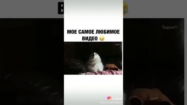 Лай смотреть онлайн