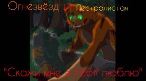 Коты-Воители клип Огнезвёзд и Пестролистая "Скажи мне я тебя люблю"