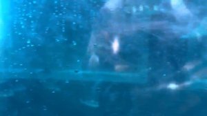 САМЫЙ БОЛЬШОЙ АКВАПАРК В МИРЕ!! *Празднуем день рожден?