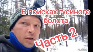 В поисках гусиного болота. Часть 2.