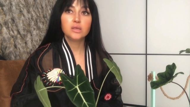 #Обзор новинок./ #Алоказия Жаклин и #Алоказия Мишольца