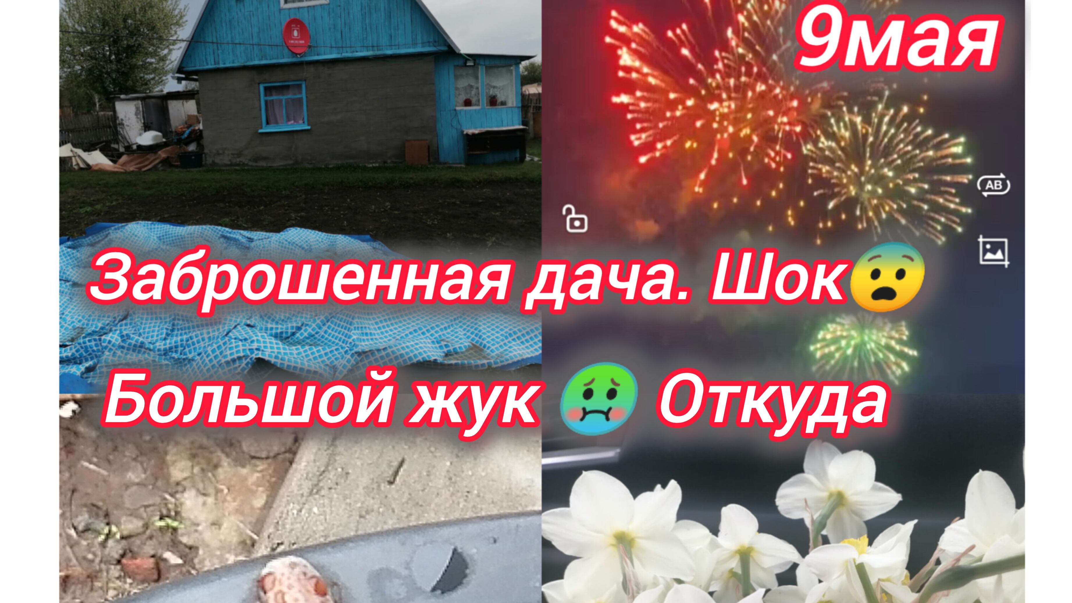 Заброшенная дача. Шок 😳 Откуда он появился 🤢