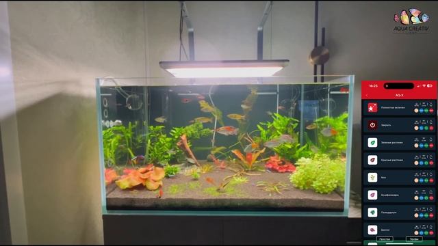 Распаковка и обзор светильника для аквариума LEDSTAR AQ X45 смотреть онлайн