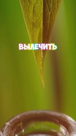 Нодулы, как лечить