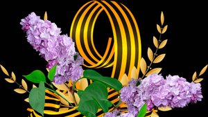 82_2025_05_09 День Победы