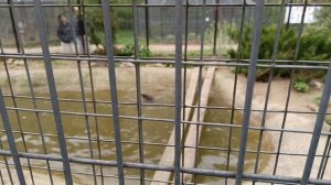 Парк птиц Воробьи.Едем в Калугу на майские праздники