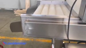 Мойка для овощей, фруктов Leaddenmar Del Wash L3000