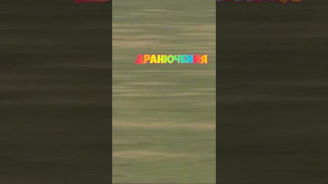 Кто быстрее всех