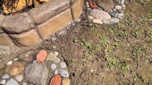 Дорожка вокруг кострища из бетона и камешков своими р?