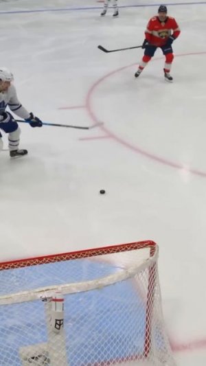 Puck movement PERFECTION
