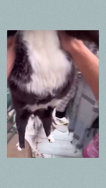 12 июня 2024 г. смотреть онлайн