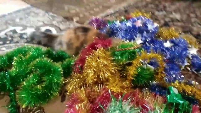 новогоднее приключение кошечки Таськи) смотреть онлайн