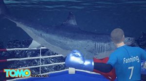 На сёрфера Мика Фэннинга напала акула