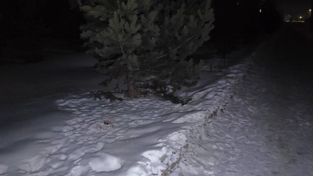 Фонарь яркий луч KM 154 Муравей яркий режим работы смотреть онлайн