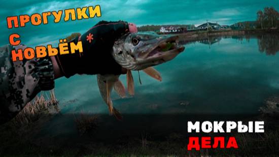 Первый выход со спиннингом Nautilus Fukuru и не только! Рыбалка в дождь