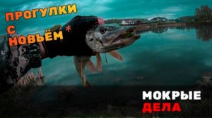 Первый выход со спиннингом Nautilus Fukuru и не только! Рыбалка в дождь