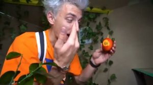 Дом миллионера и Батуты!  Моменты A4.