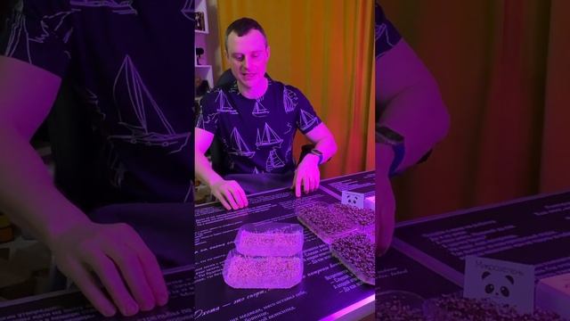 Микрозелень. Семена чиа. Как правильно посадить.