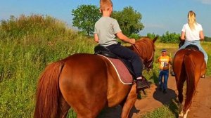 Учимся ездить на лошадях