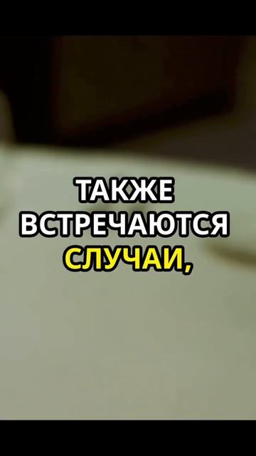 20% всех биткоинов утеряны #юмор #криптовалюта #психоло смотреть онлайн