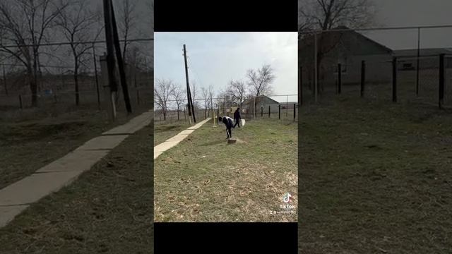Живи Земля акция