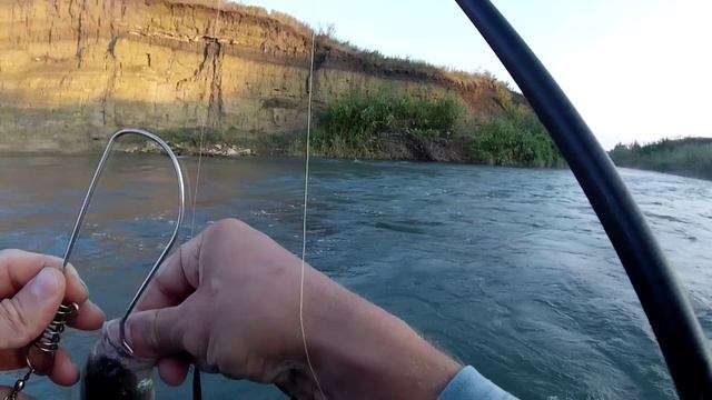 Рыбалка🎣 ранним утром на реке Егорлык.