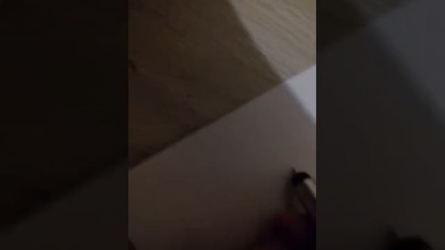 Обзор на ручку,фонарик,стилус смотреть онлайн