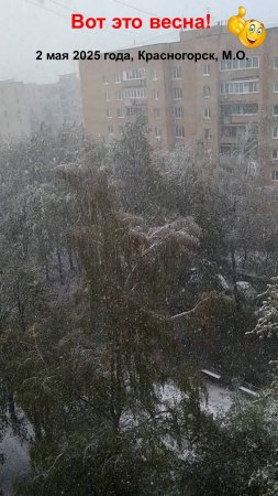 Вот это весна!2 мая 2025 года,Красногорск М.О