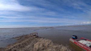 Охота на гуся. Идём на Канин.