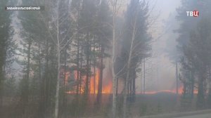 Площадь лесных пожаров в Забайкалье выросла почти до 400 тысяч гектаров / События на ТВЦ