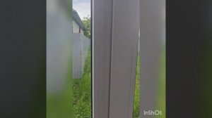 1000388337.mp4