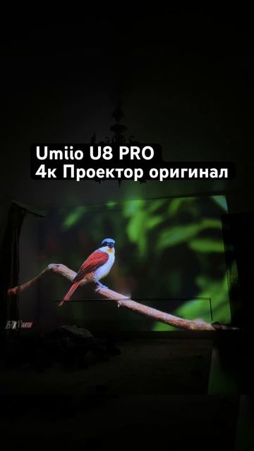 КАК КРУТО ПОКАЗЫВАЕТ 4К ПРОЕКТОР UMIIO U8 PRO Q LED #umiio смотреть онлайн