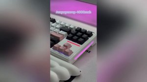 ATTACK SHARK M87 – TKL-КЛАВА С GASKET MOUNT, 5-УРОВНЕВОЙ ШУМОИЗОЛЯЦИЕЙ И HOT-SWAP! 🦈