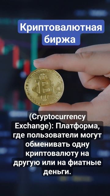 🤔📖 Что такое Криптовалютная биржа | СЛОВАРЬ ПОЛЬЗОВ?