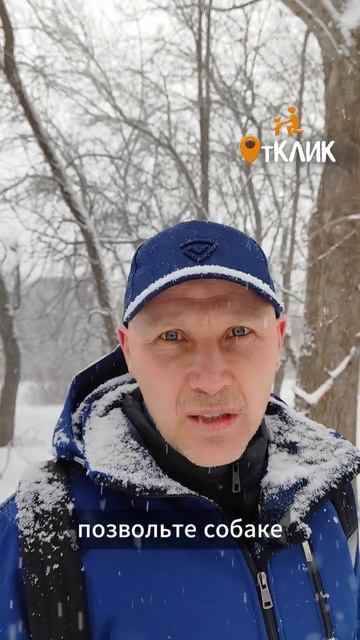 Послушание собаки - залог комфортной жизни #НЕдрессир?